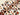 Autumn Safari BRUSHED BACK French Terry (Extra Wide)