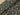 Army Abstract Tiger Viscose Gabardine