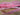 Pink Bubble and Stripe Continuous Zipper Tape