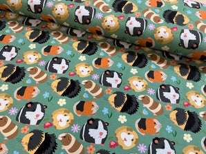 Guinea Pigs Cotton Jersey