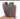 Metallic Rainbow with Rainbow Teeth Continuous Zipper Tape