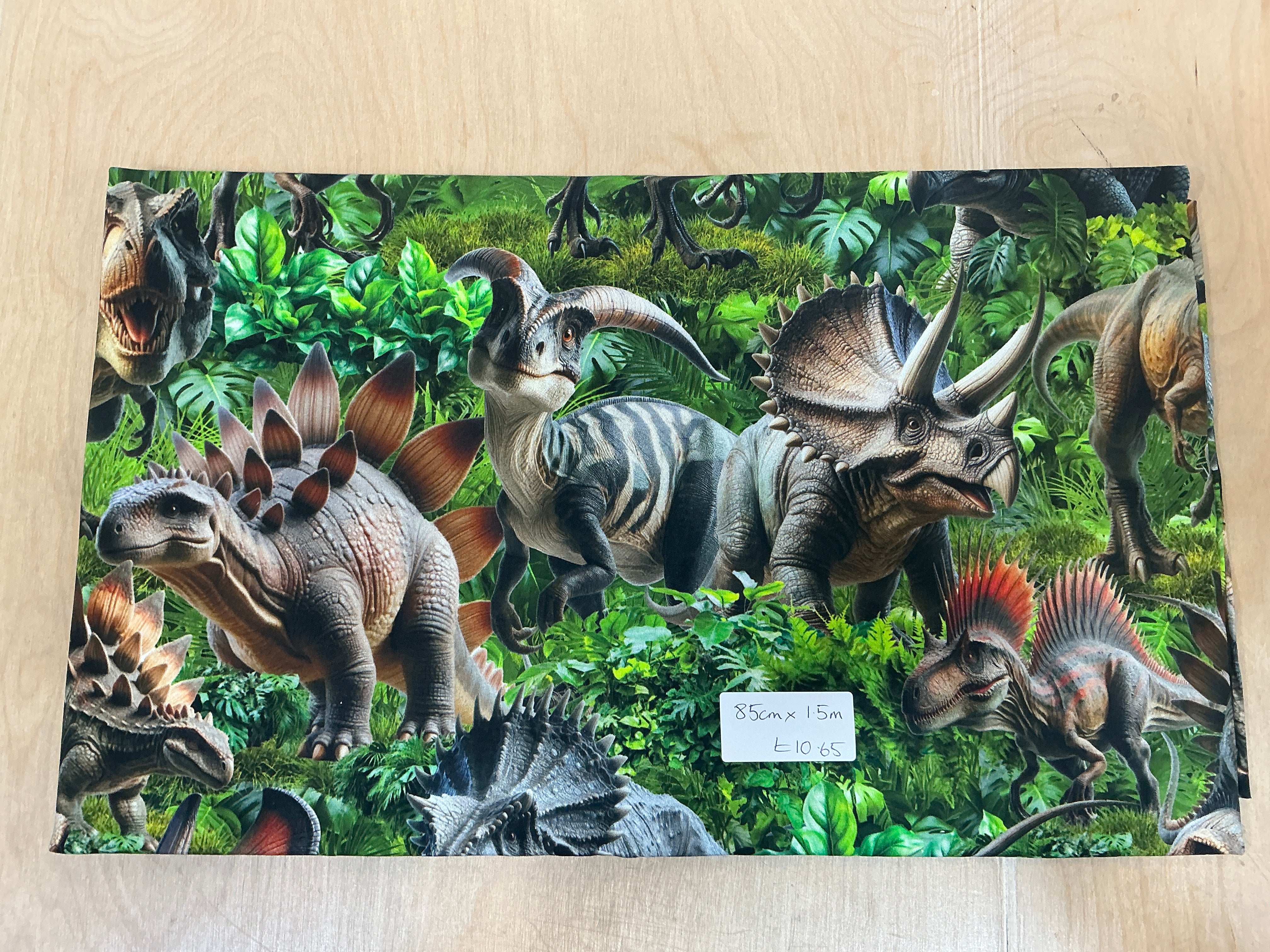 REMNANT - L85cm x W1.5M Large Dinosaurs Jersey