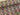 PRE ORDER Rainbow Petal Party Cotton Jersey Fabric - DUE IN STOCK MID JUNE