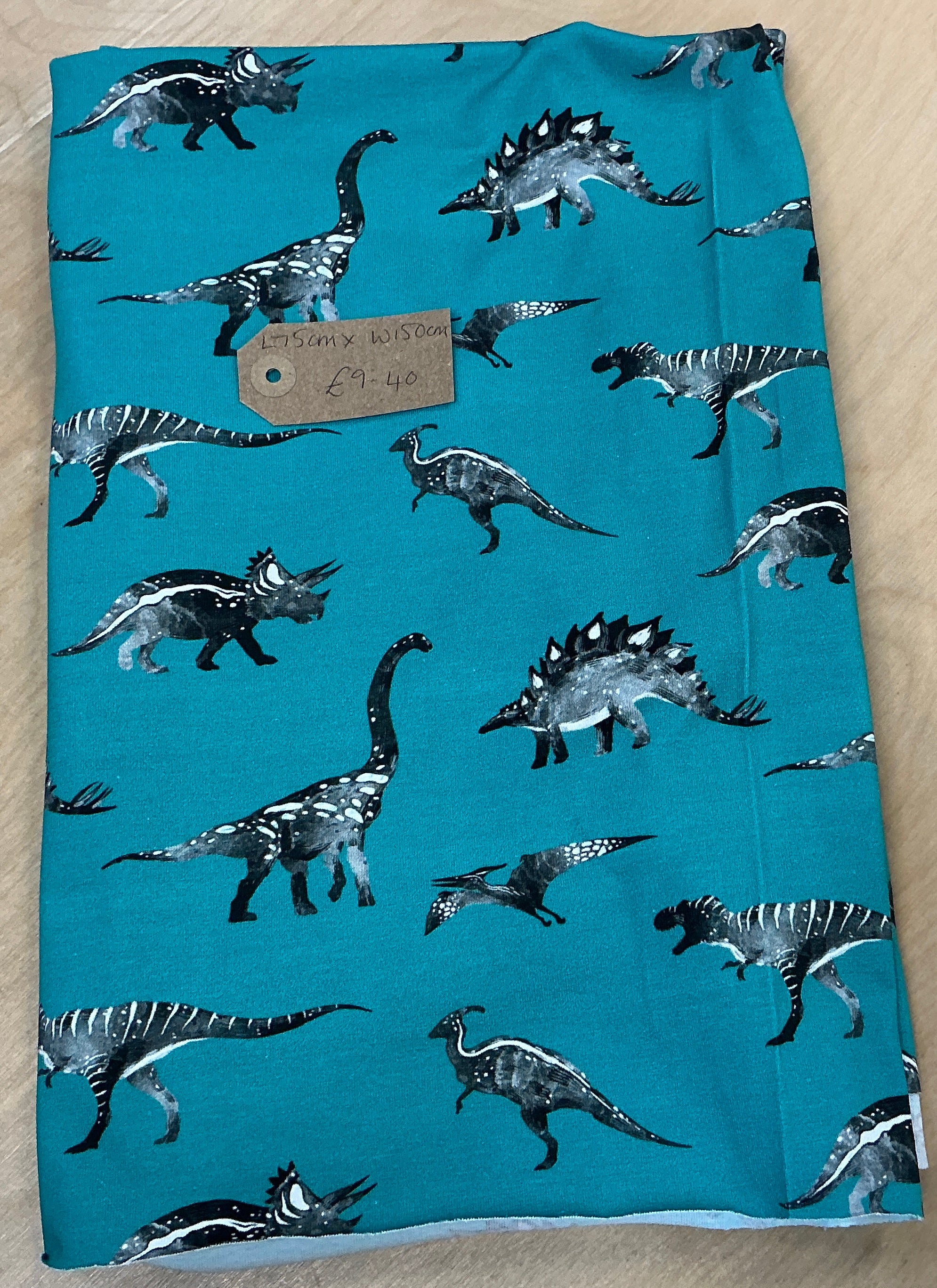 REMNANT  - L95cm x W150cm Teal Dinosaurs Jersey
