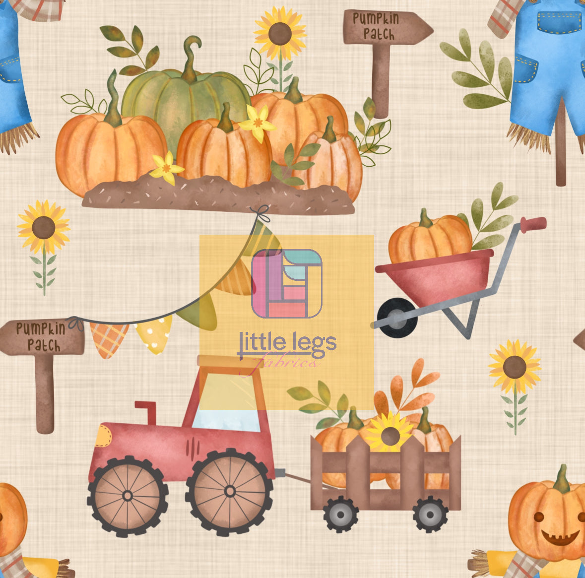 PRE ORDER Pumpkin Patch Cotton Jersey - DUE IN STOCK MID AUGUST