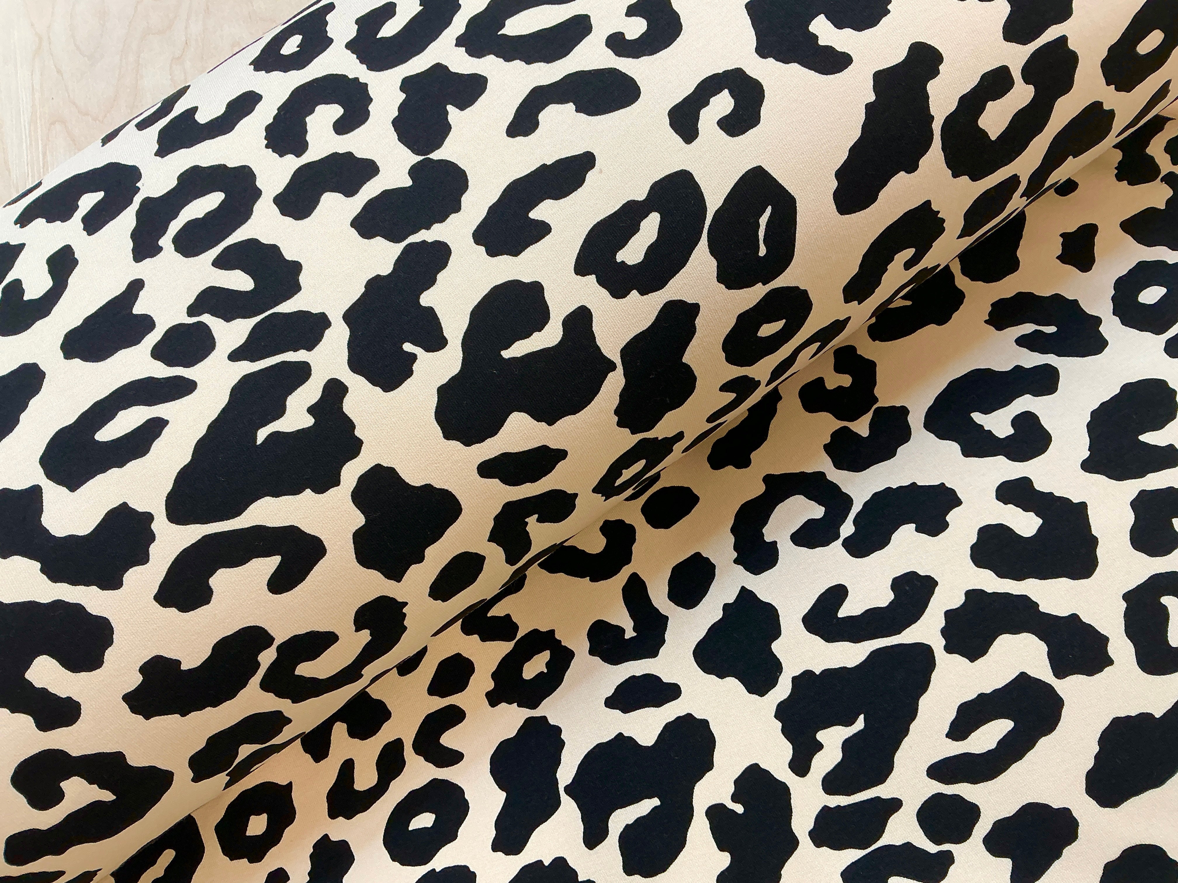 Leopard Jogging
