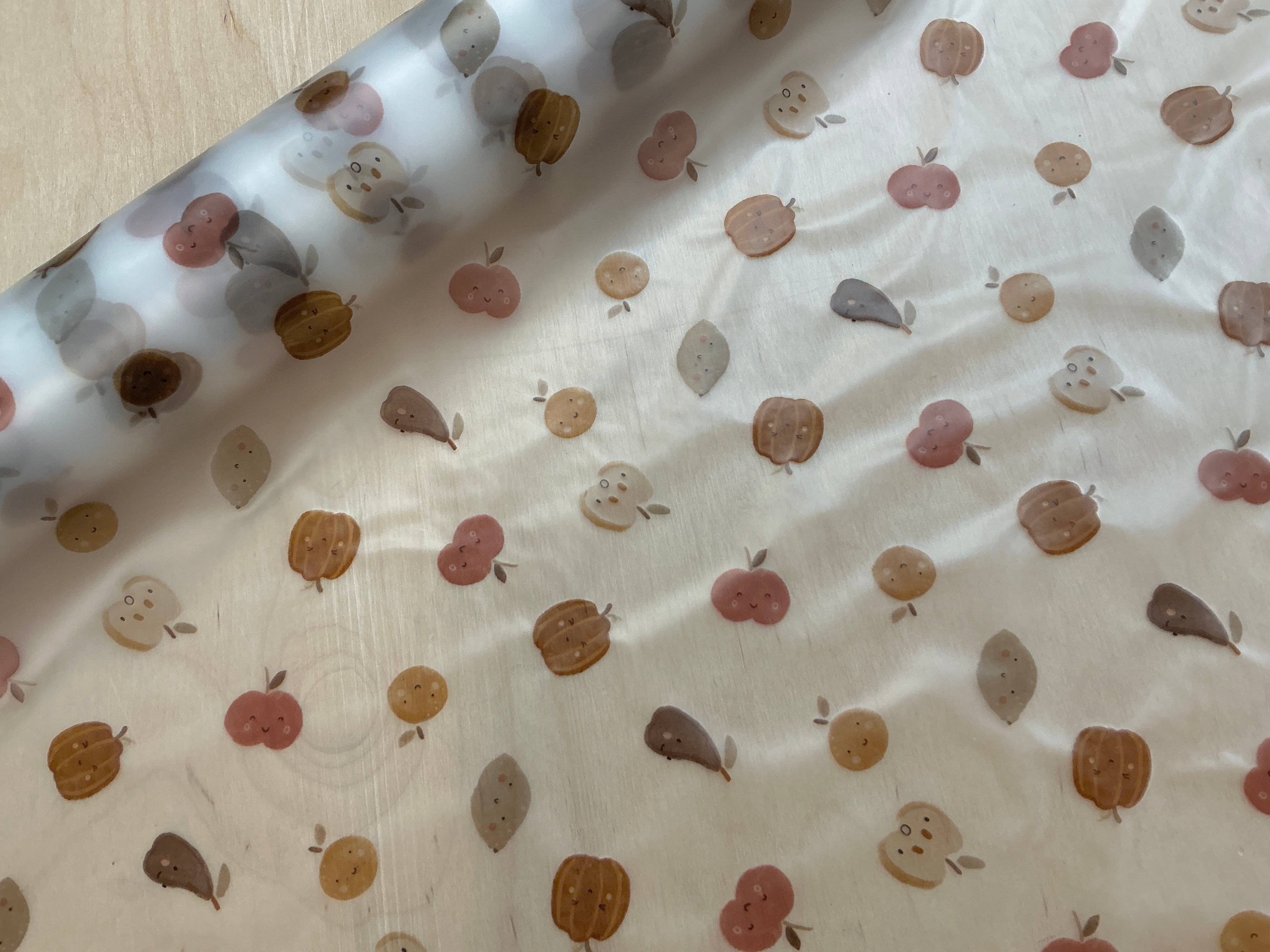 Cute Fruit Transparent Raincoat Fabric