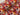 Red Floral French Terry