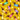 PRE ORDER Hot Dogs by FABRIC MAMA Cotton Jersey Fabric- DUE IN STOCK MID JULY