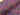 Kaleidoscope Carnival Softshell