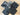 Blacks Fat Quarter Bundle