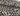 Beige on Black Leopard Print Cotton Canvas