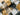 Autumn Artisan Check Cotton Jersey Fabric