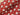 Santa Red French Terry