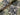 Autumn Trees Cotton Jersey
