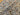 Silly Seagulls Cotton Jersey Fabric
