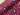 Berry Leopard Hearts Soft Sweat