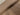 FLAWED - Fawn Stretch 21w Needle Cord