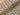 Squirrel in leaves Cotton Jersey