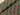 Green and Red Baubles Cotton Poplin