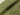 Pistachio Dashes Viscose