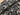 Nerida Hansen Black and Cream Magnolia Cotton Satin