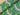 Forest Floor Polyester Crepe