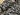 Shadow Leaves Viscose Jersey