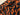 Terracotta Magnolia Stretch Polyester