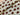 PRE ORDER Animal Print Pumpkins Cotton Jersey Fabric - DUE IN STOCK MID JULY