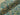 Parading Peacocks Cotton Jersey