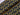Harry Potter Black Licensed Cotton
