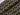 Harry Potter Black Licensed Cotton