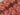 Festive favourites Cotton Jersey