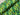Green Marker Waves Quilting Cotton