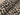 Animal Print Teddy Jacquard Fleece