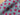 Flower Pop Check Soft Sweat
