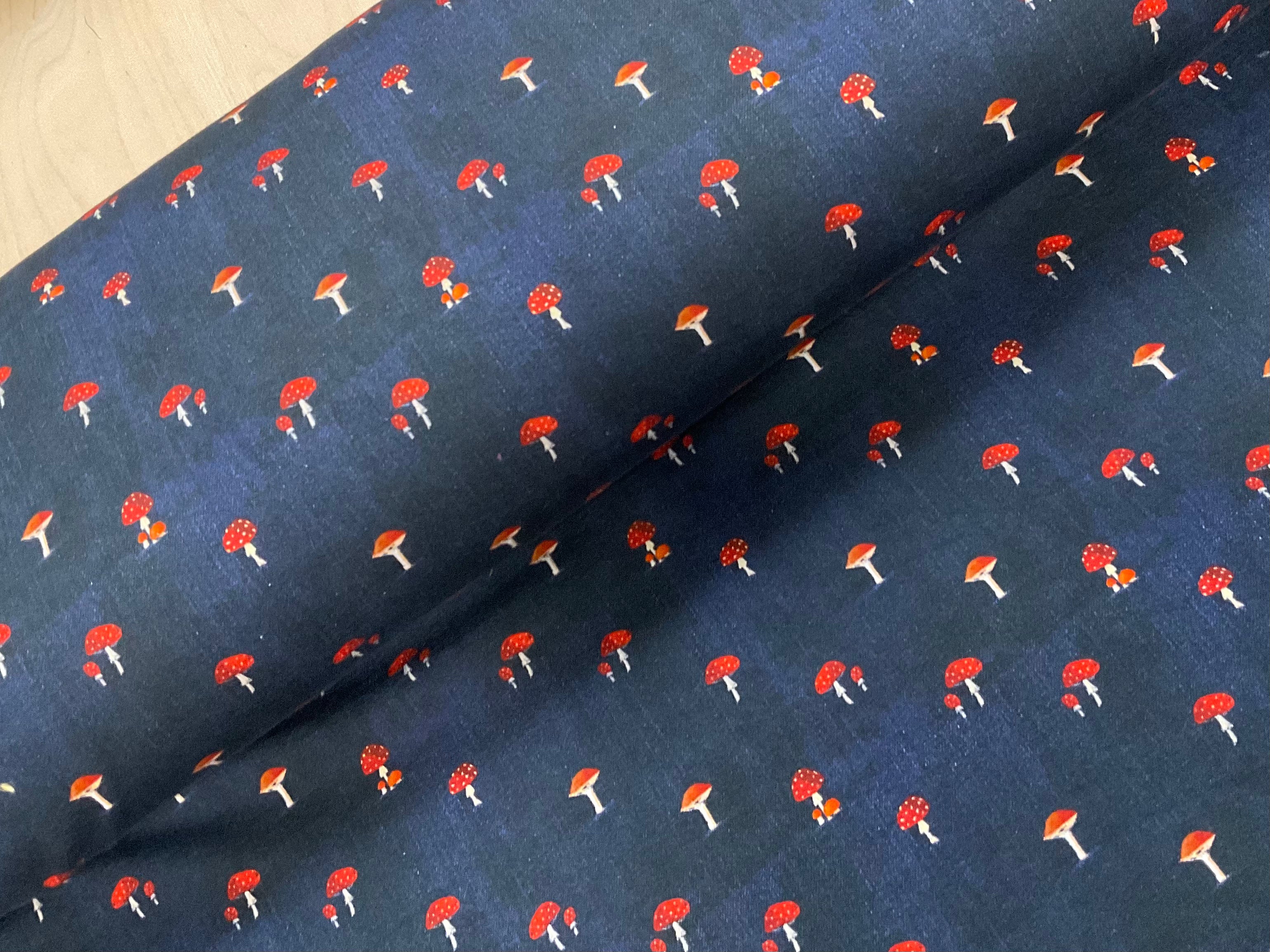 Toadstool Denim Look Alpine Fleece