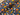 Jungle Vibes Cotton Jersey Fabric