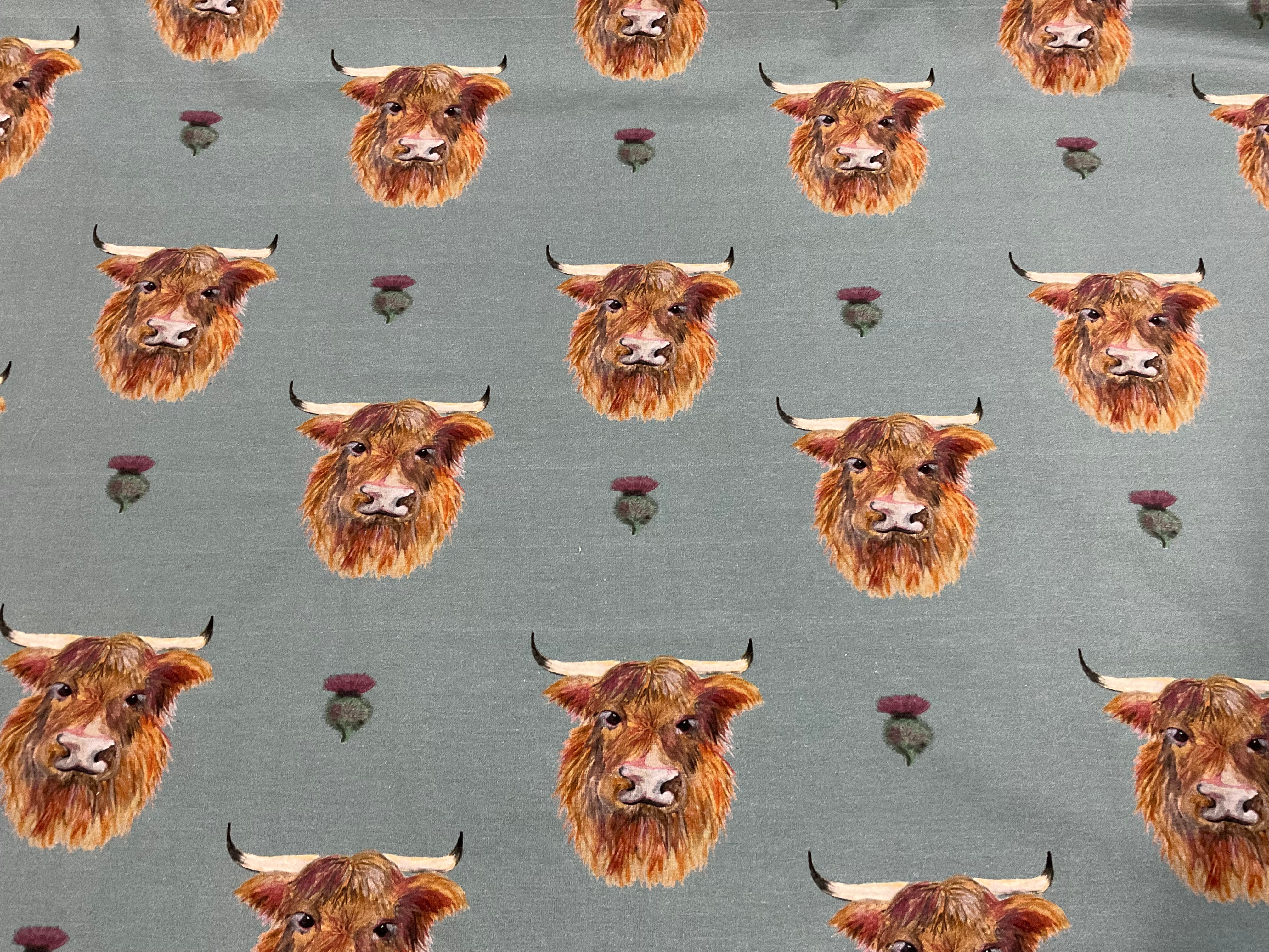 FLAWED Highland Cow Cotton Jersey