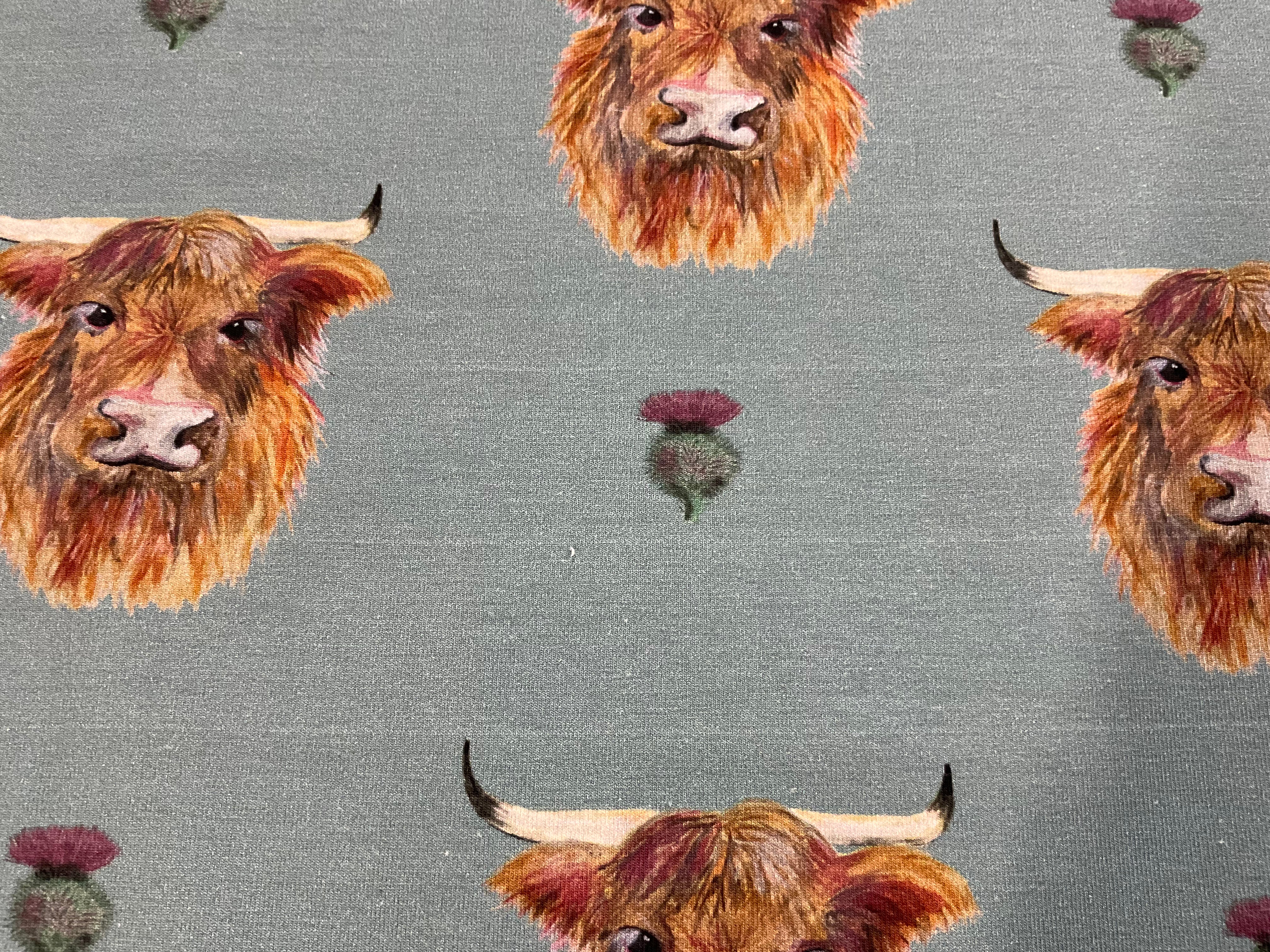 FLAWED Highland Cow Cotton Jersey