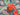 Retro Summer Viscose