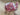 25mm Pink Floral Bias Binding