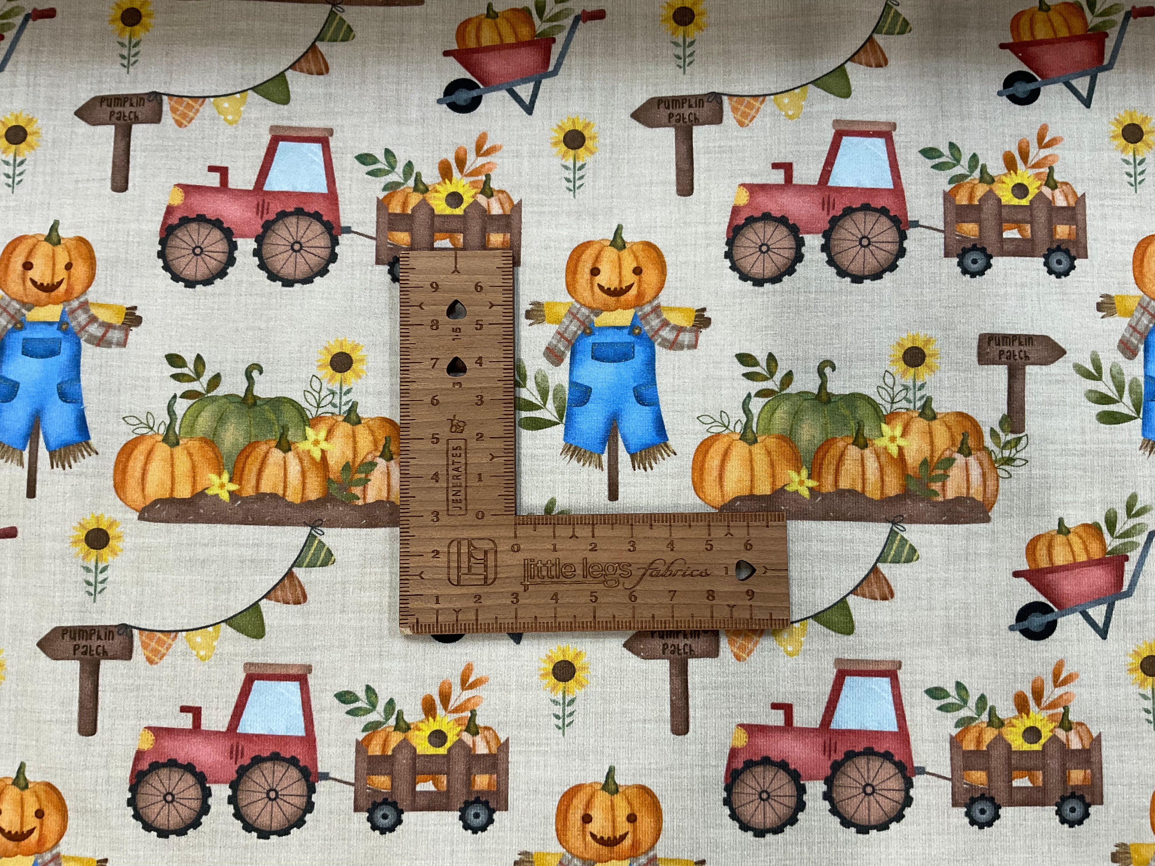 Pumpkin Patch Cotton Jersey