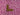 Fuchsia Leopard Spot Cotton Flannel