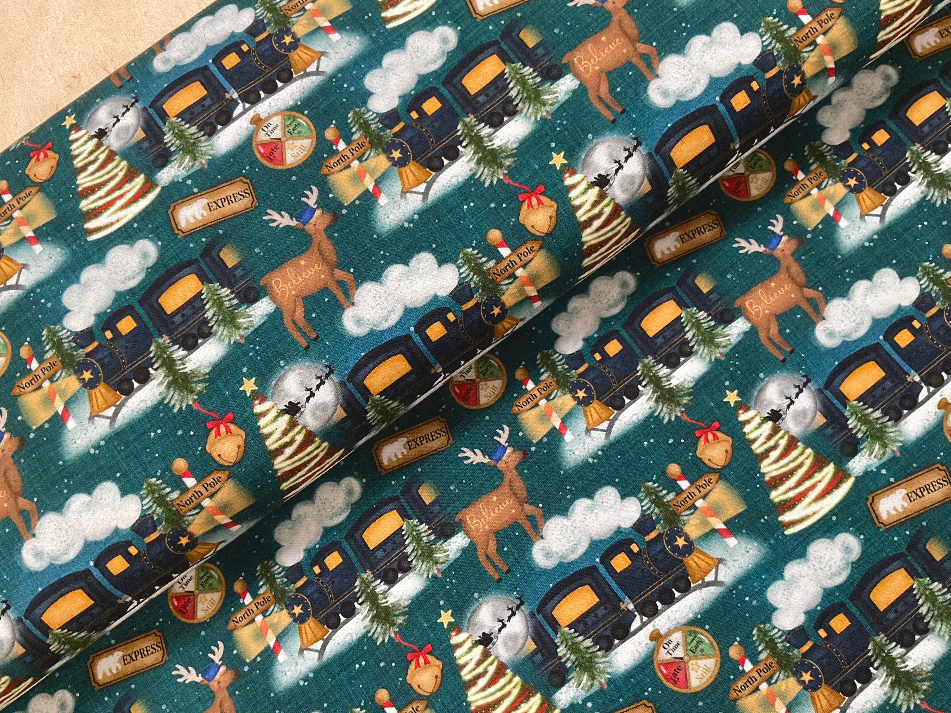 PRE ORDER Polar Express - DUE IN STOCK MID SEPTEMBER