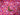 Sale Field of Flowers - Dashwood Design Cotton