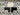 PRE ORDER Fluffy Penguins French Terry - DUE IN STOCK MID SEPTEMBER