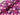 Lilac Botanica Soft Sweat