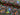 Neon Rock Riot French Terry